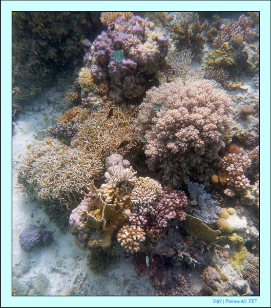 209   07   Sibuan 08